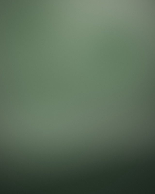 莫干山的雾图册照片